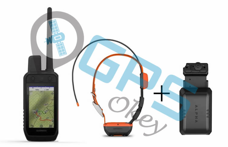 Alpha 200i + Collar T20